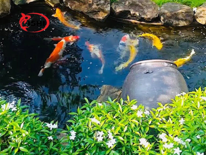 Tầm quan trọng của việc kiểm tra và duy trì chất lượng nước